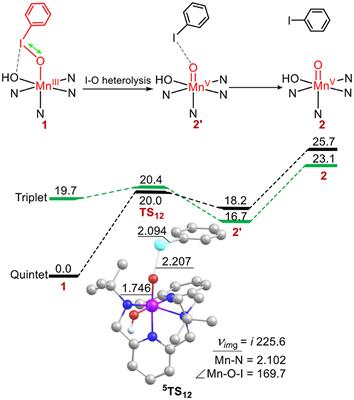 Theoretical Study on the Structural-Function Relationship of Manganese(III)-Iodosylarene Adducts